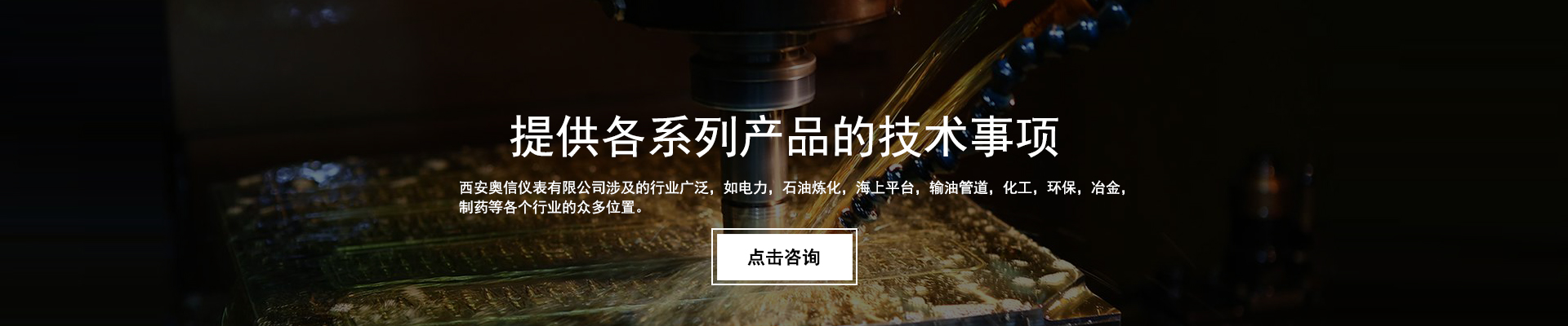 西安奥信仪表有限公司
