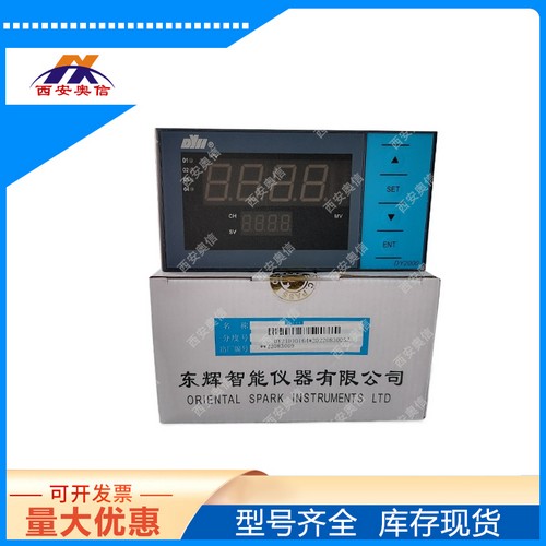 8路温度巡检仪DY29D0608P东辉大延DY2000